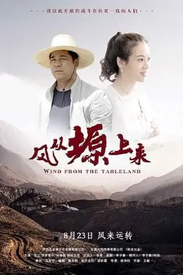 风从塬上来封面图