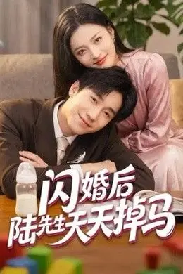 闪婚后陆先生天天掉马封面图