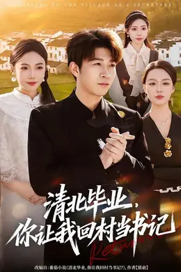 清北毕业，你让我回村当书记海报图片