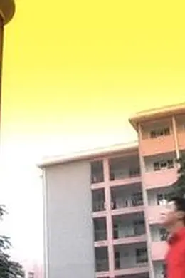 风继续吹封面图