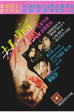 疯劫粤语封面图