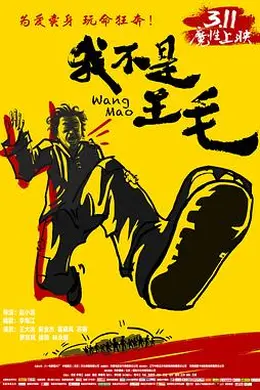 我不是王毛封面图