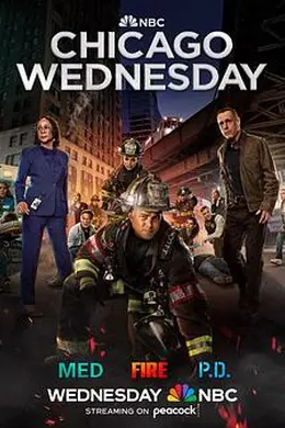 芝加哥急救第十季封面图