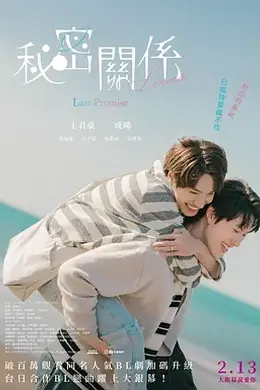 秘密关系：最后的约束封面图
