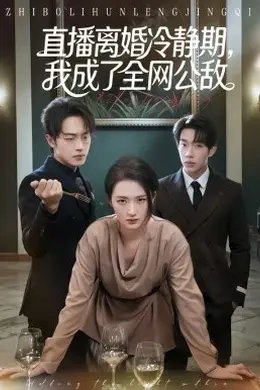 直播离婚冷静期，我成了全网公敌海报图片