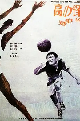 高中锋，矮教练封面图