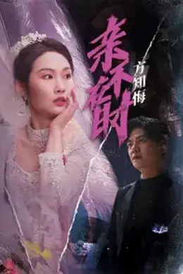 亲不在时方知悔海报图片