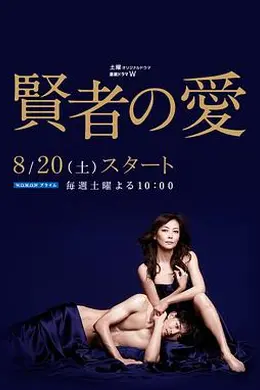 贤者之爱封面图