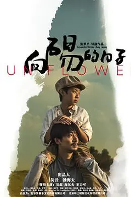 向阳的日子封面图