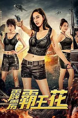 霹雳霸王花封面图