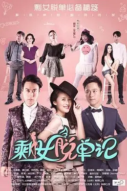 剩女脱单记封面图