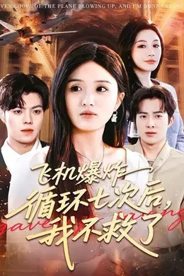 飞机爆炸循环七次后，我不救了海报图片