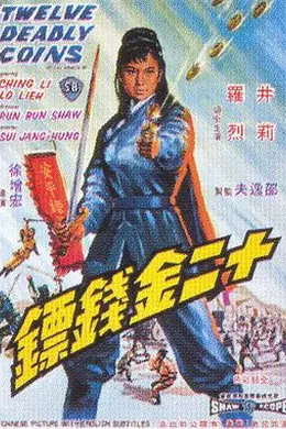 十二金钱镖封面图