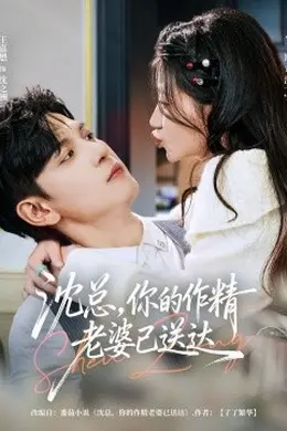 沈总，你的作精老婆已送达海报图片