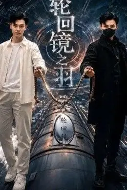 轮回镜之羽封面图