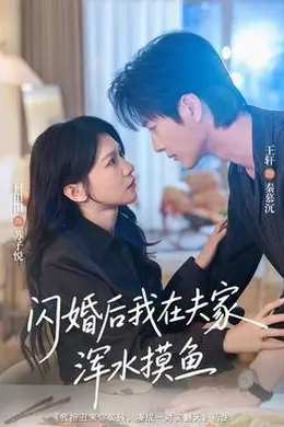 闪婚后我在夫家浑水摸鱼封面图