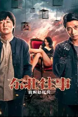 东北往事之我叫赵红兵封面图