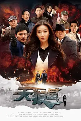 天狼星行动封面图