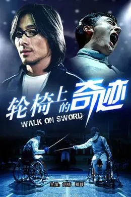 轮椅上的奇迹封面图