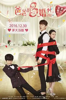爸爸的3次婚礼封面图