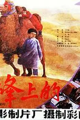 驼峰上的爱封面图