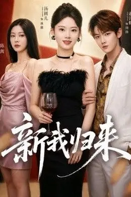 新我归来海报图片