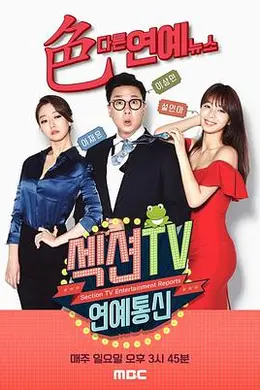 Section TV演艺通信封面图