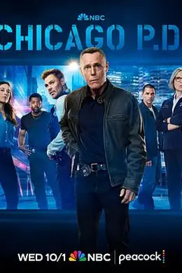 芝加哥警署第十三季封面图