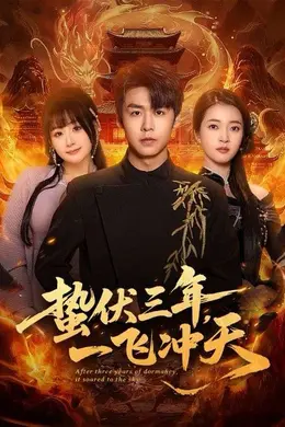 蛰伏三年，一飞冲天封面图