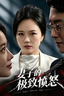 妻子的极致愤怒封面图