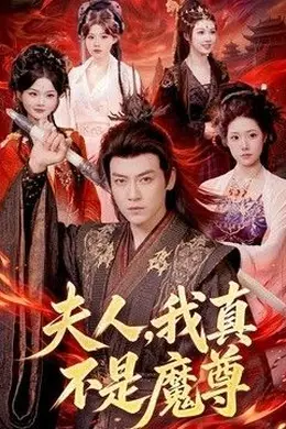 夫人，我真不是魔尊封面图