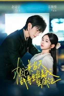 相亲当天战先生拉着我去领证海报图片