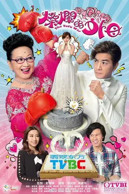 灿烂的外母封面图