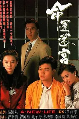 命运迷宫粤语封面图