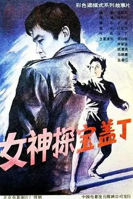 女神探宝盖丁封面图
