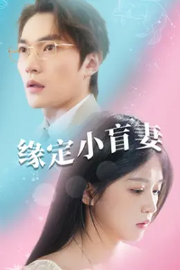 缘定小盲妻海报图片