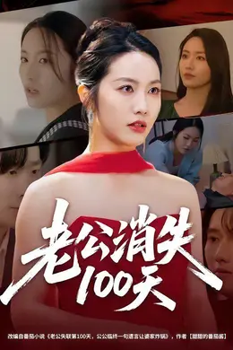 老公消失100天海报图片