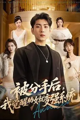 被分手后，我觉醒助女就变强系统封面图