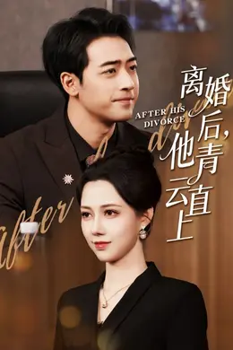 离婚后他青云直上海报图片