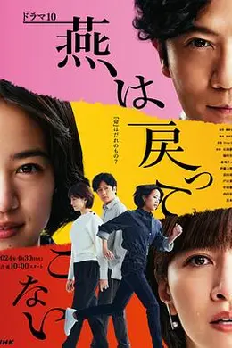 燕子不再归来封面图