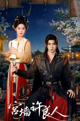 宫墙许良人海报图片