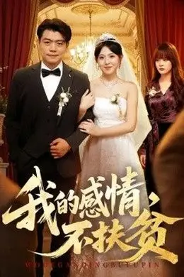 我的感情，不扶贫封面图