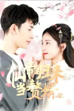 仙帝归来当赘婿封面图