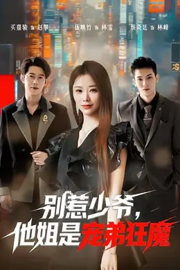 别惹少爷，他姐是宠弟狂魔海报图片