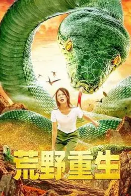 荒野重生海报图片