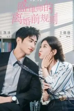 盛律师的离婚前规则封面图