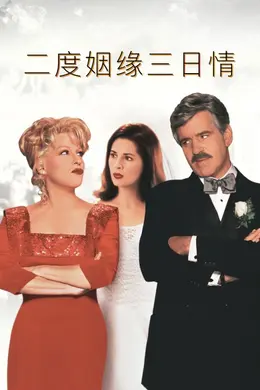 二度姻缘三日情封面图