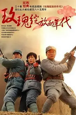 玫瑰绽放的年代封面图