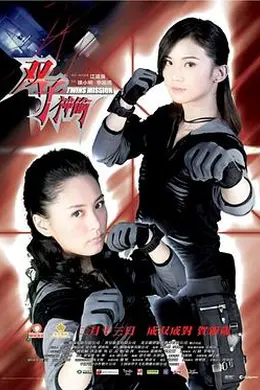 双子神偷封面图