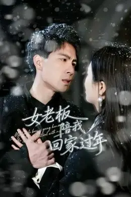 女老板陪我回家过年封面图